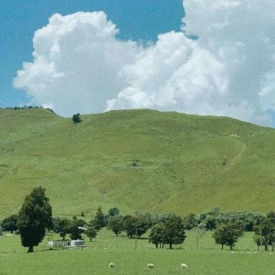 NG28加拿大软件下载截图