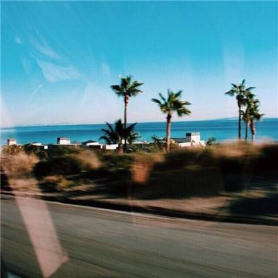 半岛·综合下载手机版