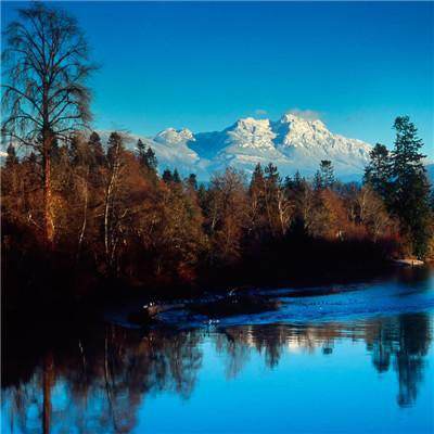 新万博全站app最新版