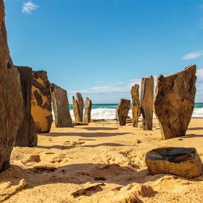 leyu乐鱼下载手机版