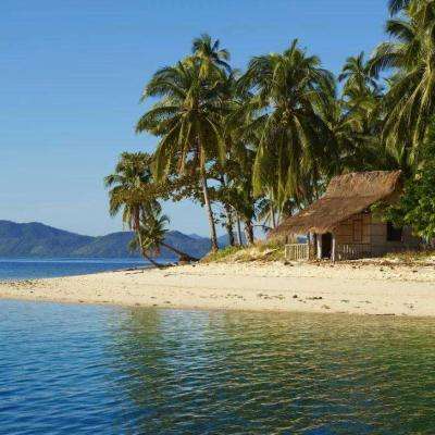 bat365手机app下载