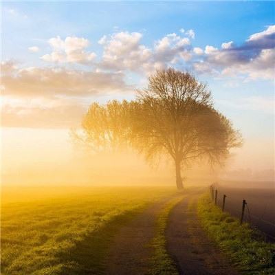 leyu·乐鱼中国体育官方入口